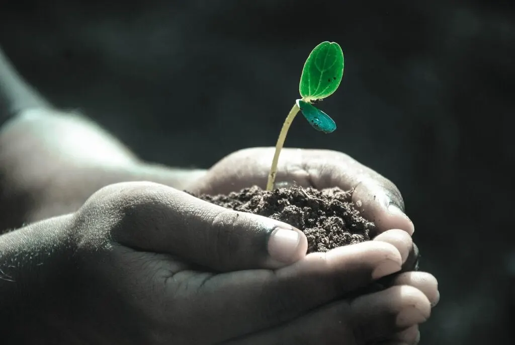 The Life-Changing Message of Hope