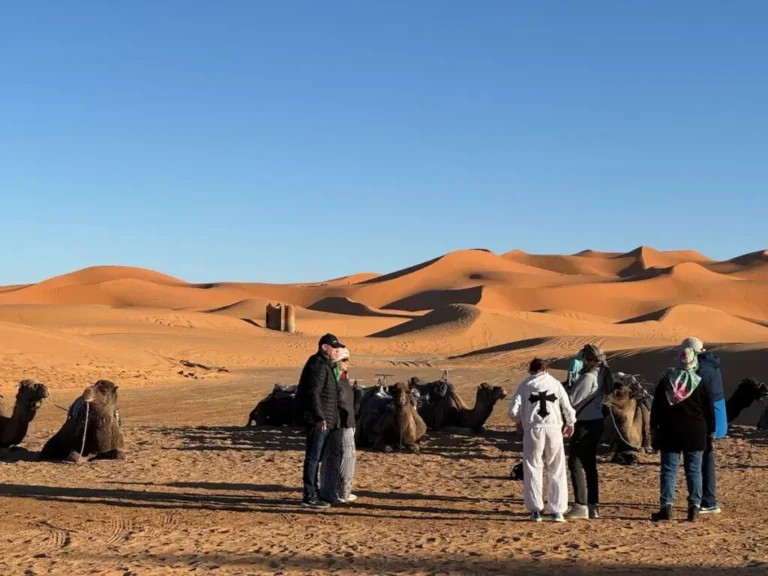 Israelites in the desert