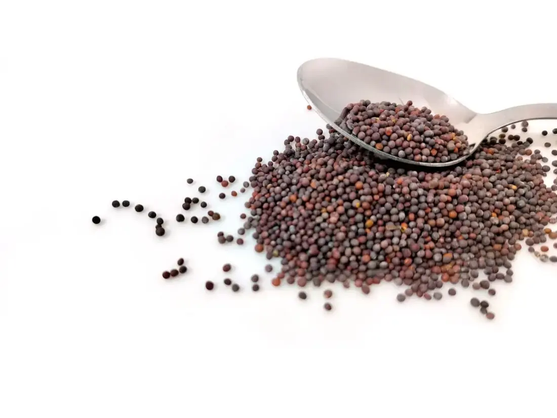 The Parable of the Mustard Seed Meaning